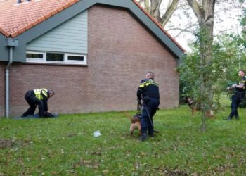 DHRico en DHNero sporen samen met drone verdachten straatroof op in Hoorn