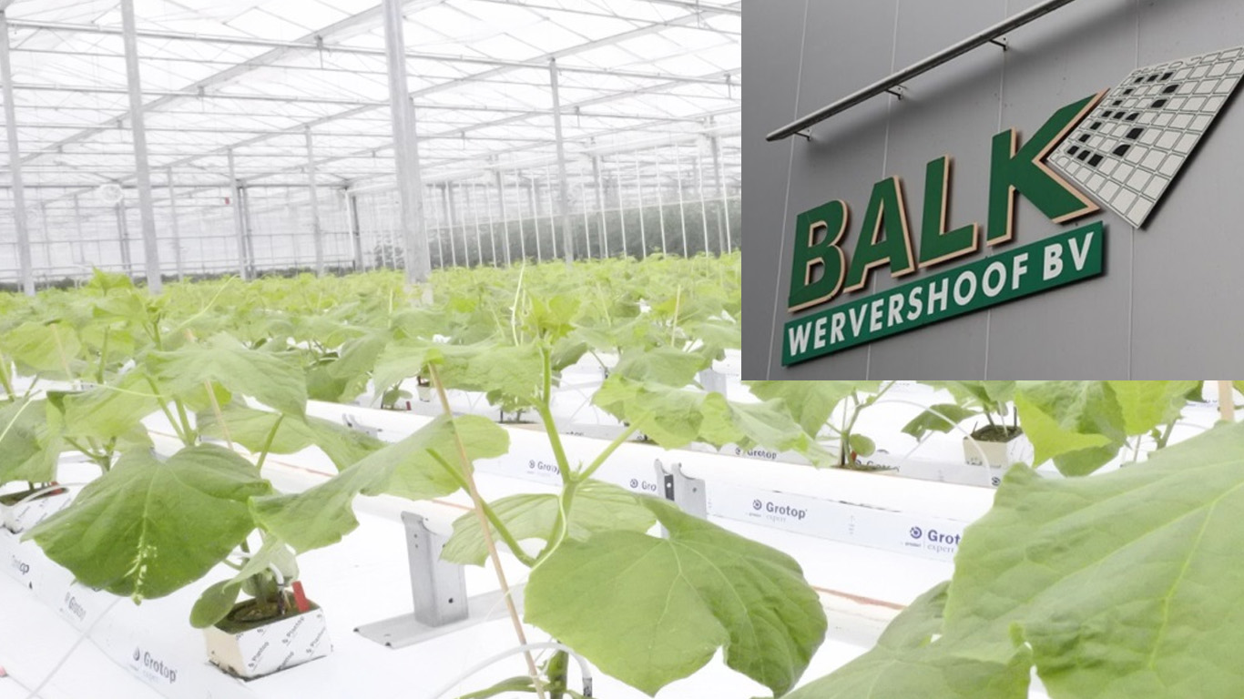 Balk Wervershoof B.V overgenomen door Enza Zaden; ‘kennis wordt voortgezet’