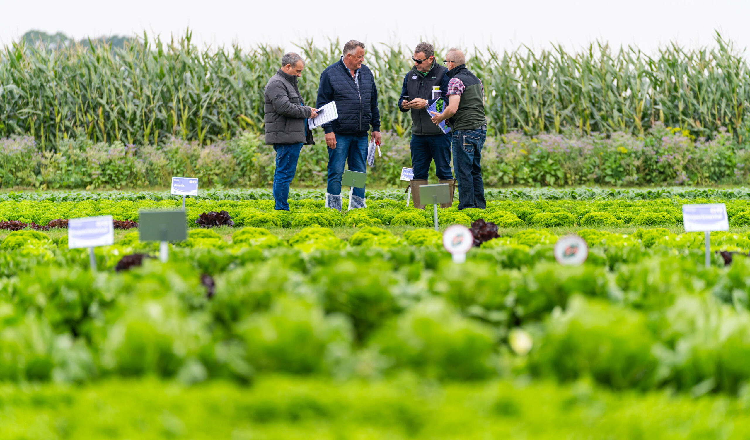 Discovery Field Days in Twisk: resistenties maken het verschil