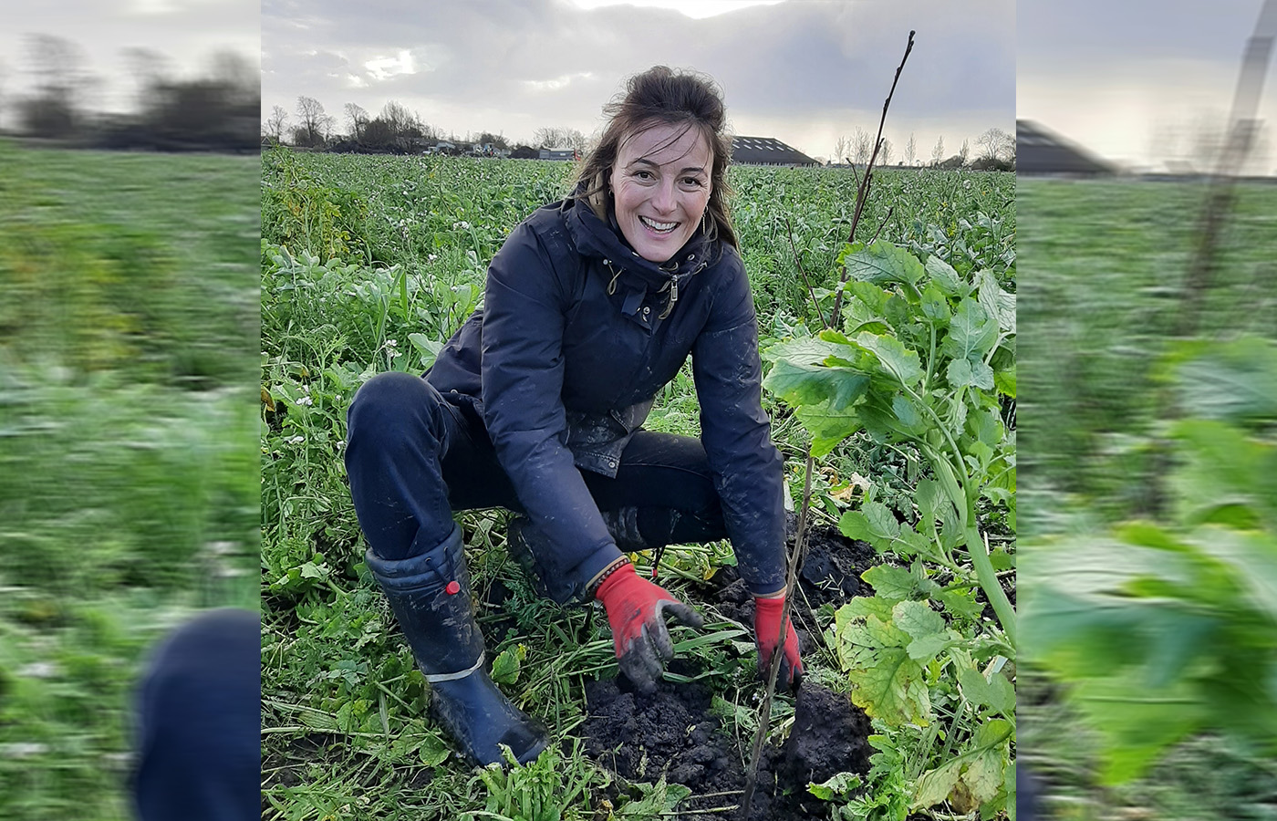Excursie naar proefperceel agroforestry in Heerhugowaard biedt inzicht in duurzame landbouw