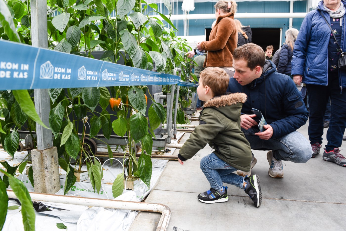 Kom in de Kas opent deuren bij zes kwekers in Wervershoof en Andijk
