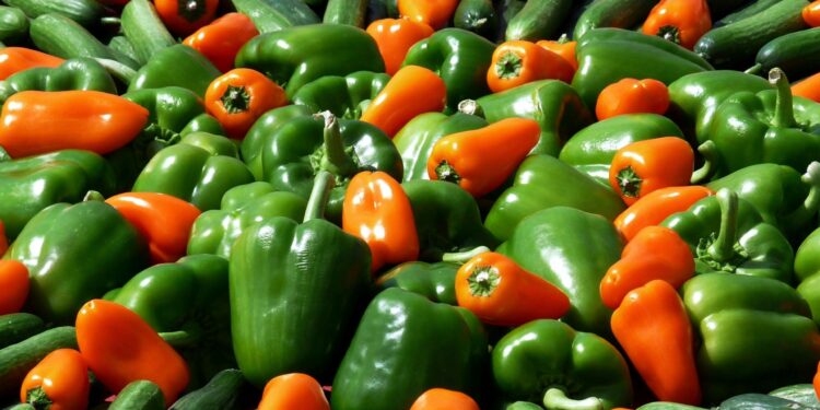 Paprikabedrijf in Altongebied Heerhugowaard failliet verklaard