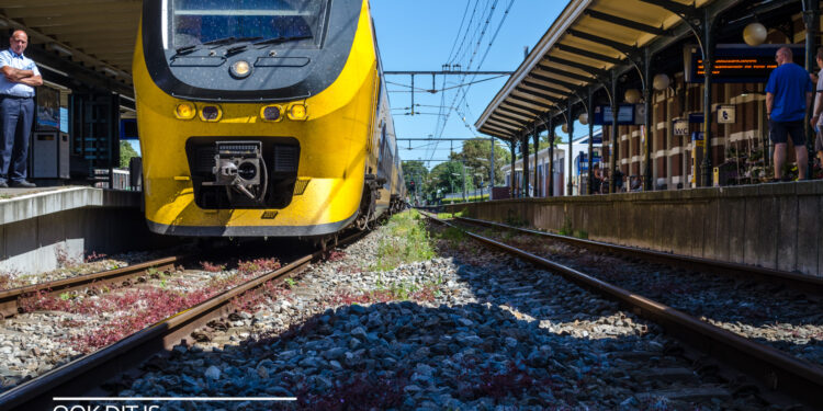 NS dienstregeling 2022: Meer Intercity’s tussen Alkmaar – Haarlem; Hoorn minder spitstreinen